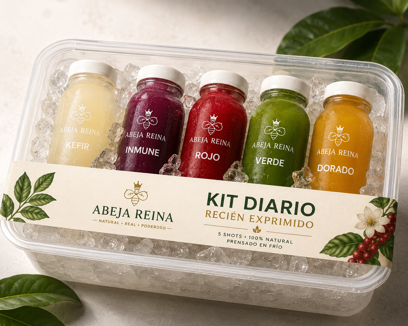 KIT DIARIO EN HIELO