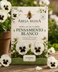 SEMILLAS DE FLOR - PENSAMIENTO BLANCO