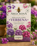 SEMILLAS DE FLORES - VERBENA